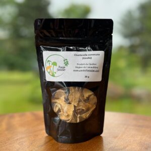 Chanterelles en morceaux - 20g